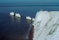 Needles Point